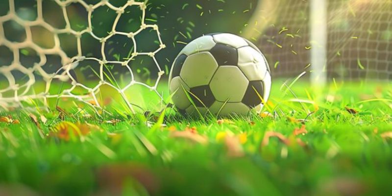 Bí quyết soi kèo tai xiu 2.5 bất bại